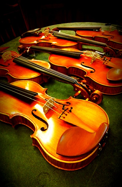 木製バイオリン 本体と付属品 バイオリン・ヴィオラ・チェロ 在庫一覧 ／ Violin・Viola