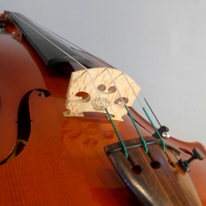 バイオリン Alain MOINIER made in Mirecourt | 国際楽器社