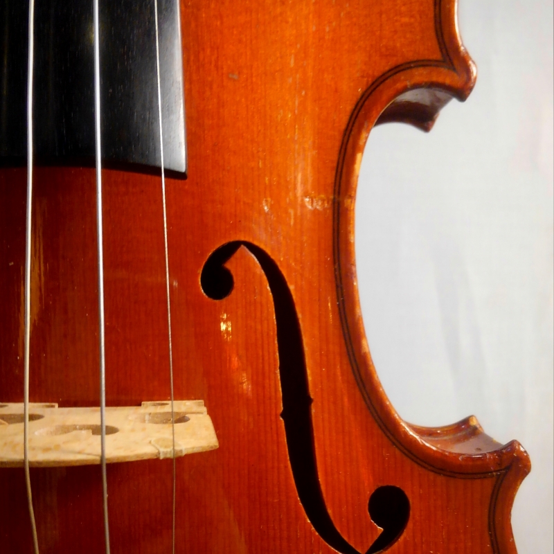 弦楽器 kikuchi used】Kikuchi Guitars / Custom Bass 5 Pewter Grey 2023-2024