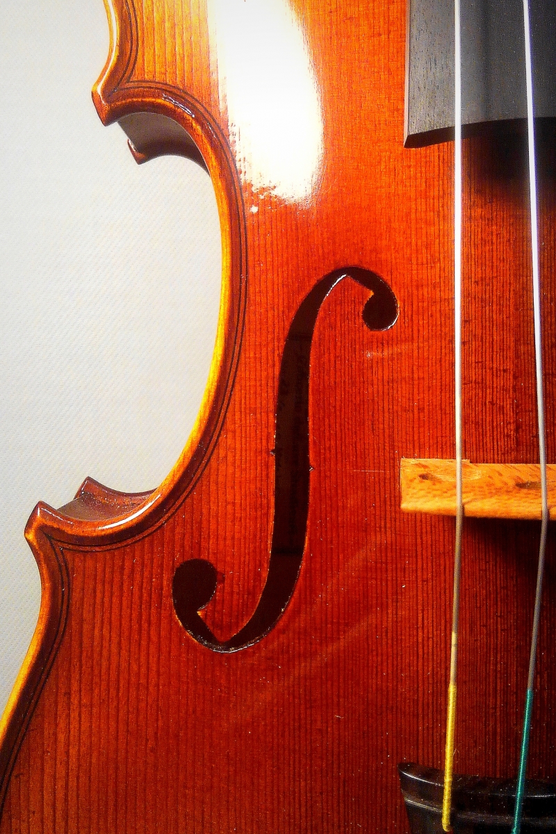 Franz Sandner#801R ヴァイオリン | 国際楽器社